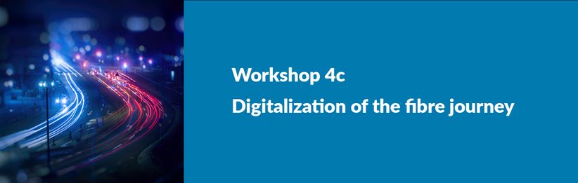 Workshop on 2nd December from 14h to 15h30 CET (Central European Time)